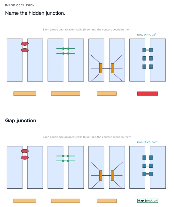 Sample card from Cells, Membranes and Tissues, answer side
