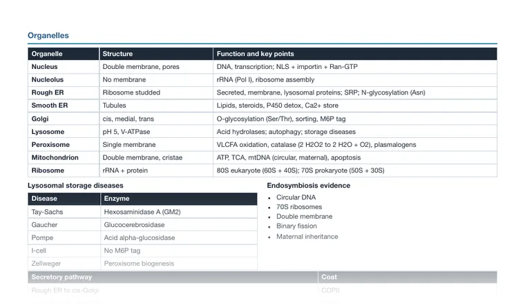 Cheat sheet, page 2 (partial preview)