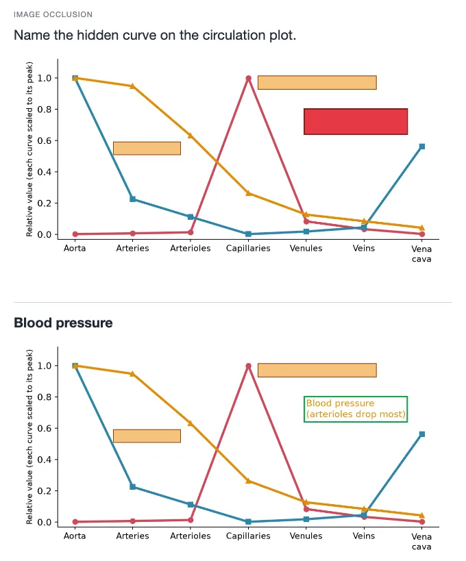 Sample card from Fluids and Gas Behavior, answer side
