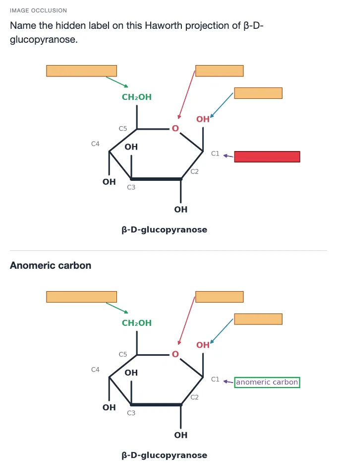 Sample card from Biologically Relevant Molecules and Organic Reactivity, answer side