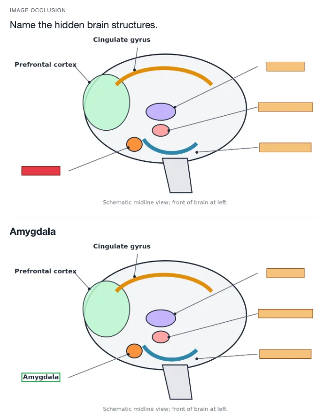 Sample card from Emotion and Stress, answer side